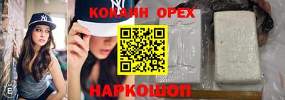 сатива Камышлов